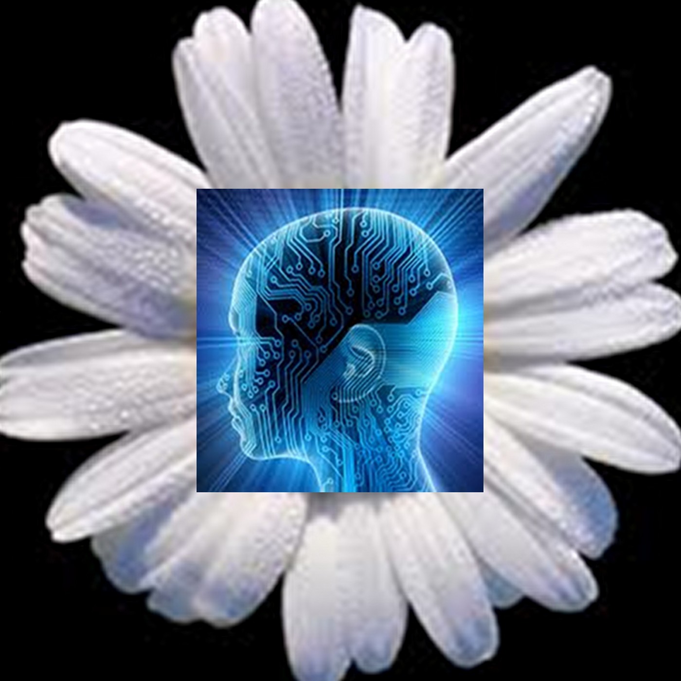 Daisy Artificial Intelligence Podcast